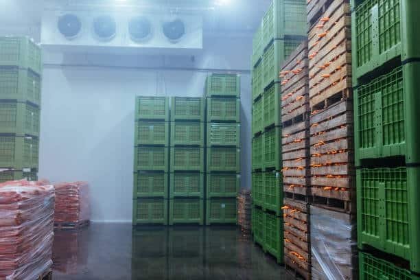 perishable food stored in green crates in temperature controlled warehouse