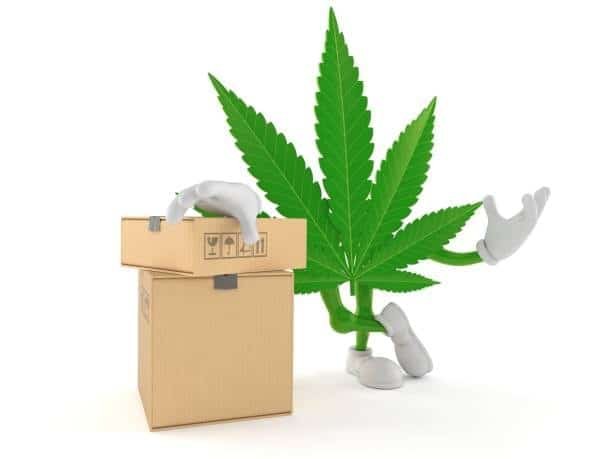 Cartoon cannabis leaf holding shipping boxes highlighting difference between THC chemical and Terminal Handling Charges.