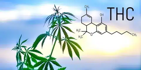 Chemical THC image showing common confusion between cannabis THC and shipping THC charges.