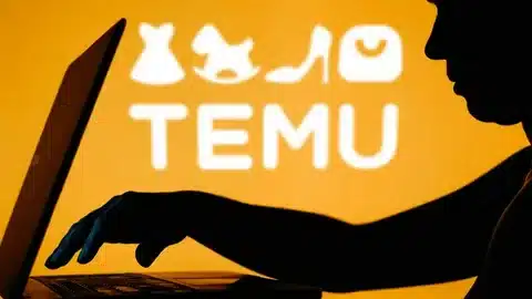 Temu online shopping security with laptop user silhouette.